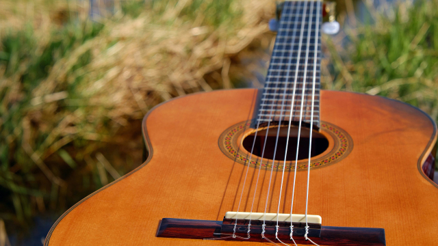Titelmotiv Auftritt der Gitarrengruppe Pomßen