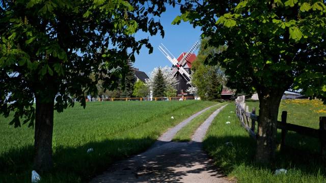 s_ballendorf-muehle Tourismus Bad Lausick – Sehenswertes
