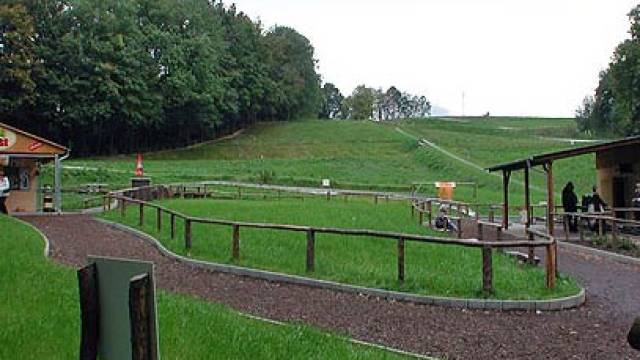 Blick auf die Sommerrodelbahn, grüne Wiesen und viel Holz