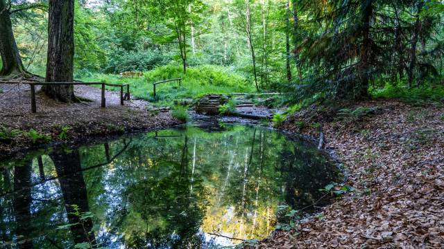 Titelmotiv Wanderung Bad Lausick – Parthequelle